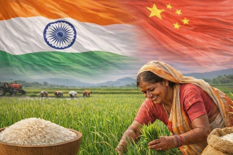 The real story behind India surpassing China in rice production: Productivity still a big challenge