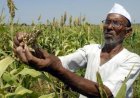 Farm Loan Waivers Return: Maharashtra’s Rs 35,000 Crore Scheme Revives Debate on Credit Discipline