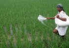 India Secures 86 Lakh Tonnes of Fertilizers Through Global Pacts; Domestic P&K Output Rises to 211 LMT