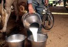 FSSAI Mandates Registration for Independent Milk Producers and Vendors, Orders Strict Enforcement Across States