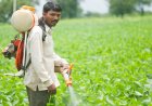 Iran Conflict Impact: Pesticide Prices to Surge 25-30% Ahead of Kharif Season