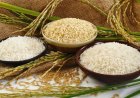 India’s Rice Shipments Surge 16.5% to Over $1 Billion in June, Fertiliser Imports Jump 201%