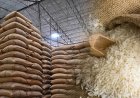 US Rice Exports Hit by Middle East Conflict as Global Prices Soften Amid Supply Glut