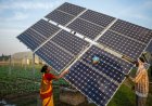 Cabinet Approves India’s New Climate Targets for 2031-35, Raises Ambition on Emissions and Clean Energy