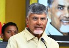 Chandrababu Naidu Seeks Centre’s Intervention as Maize Prices Fall Below MSP