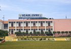 ICAR–IVRI Enters QS World University Rankings, Placed in 51–100 Band for Veterinary Science