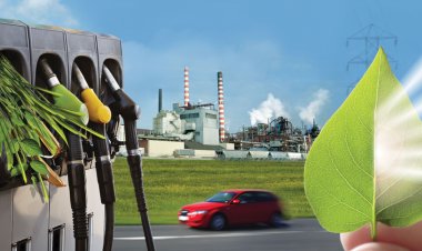 From Fields to Fuel: The Agricultural Side of India’s Bioenergy Push