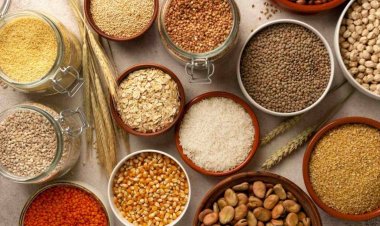 Global Wheat Production to Decline Nearly 3% in 2026 Despite Record Cereal Supply Outlook