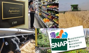 US House Panel Advances New Farm Bill After Eight Years, Sparks Debate Over Pesticides, Ethanol and Food Aid