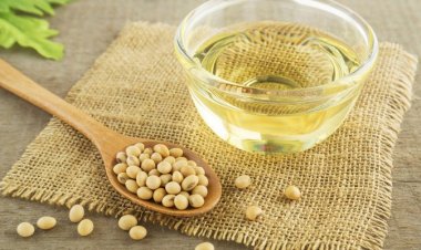 Soybean Prices Firm Up as Global Soy Oil Crosses $1,100/Tonne on Middle East Tensions