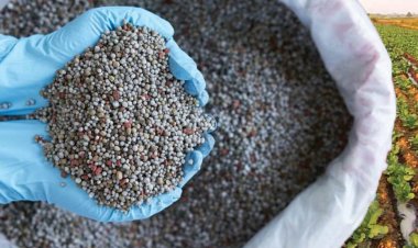 Iran Conflict Triggers China to Expand Fertilizer Export Curbs Beyond Urea