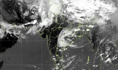 Rain, Thunderstorms and Hail Likely Till March 20; Unseasonal Weather Hits Standing Rabi Crops
