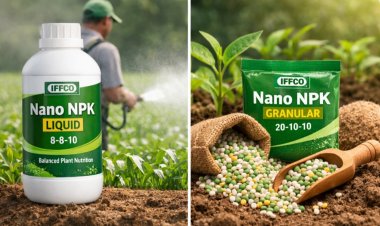 IFFCO Secures FCO Approval for Nano NPK Liquid and Granular Fertilizers