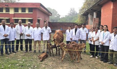 ICAR-IVRI Achieves Breakthrough in Producing Sahiwal Calves Using Advanced Reproductive Technology
