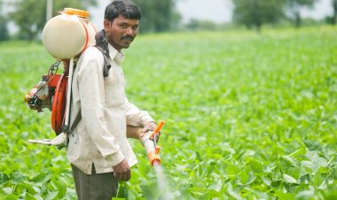 Iran Conflict Impact: Pesticide Prices to Surge 25-30% Ahead of Kharif Season