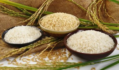India’s Exports Jump 15.5% in June; Rice Shipments Surge 16.5% to Over $1 Billion