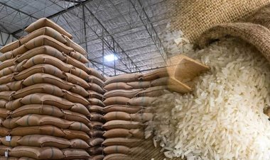 US Rice Exports Hit by Middle East Conflict as Global Prices Soften Amid Supply Glut