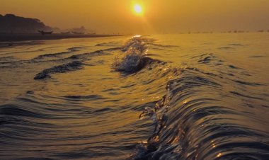 WMO Warns Earth’s Climate Imbalance Threatens Global Food Security and Agriculture