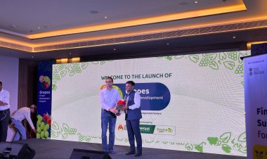 DeHaat Launches NHB-Supported Grapes Cluster Development Program in Nashik