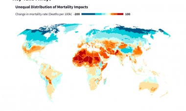 Climate Change To Widen Mortality Gap, India Faces Uneven Heat Risks