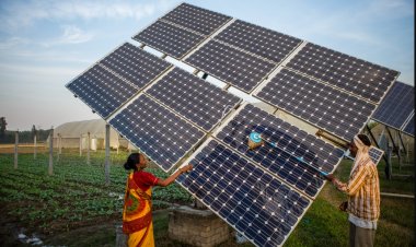 Cabinet Approves India’s New Climate Targets for 2031-35, Raises Ambition on Emissions and Clean Energy