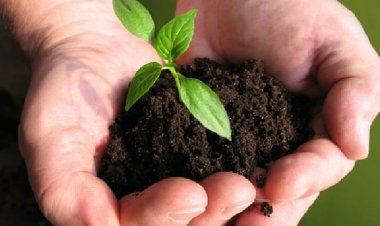 Agriculture Ministry Sets Standard Pack Sizes for Bio-Fertilizers, Norms Effective April 1