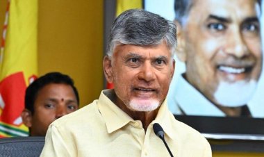 Chandrababu Naidu Seeks Centre’s Intervention as Maize Prices Fall Below MSP