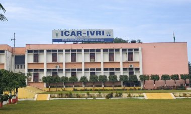 ICAR–IVRI Enters QS World University Rankings, Placed in 51–100 Band for Veterinary Science