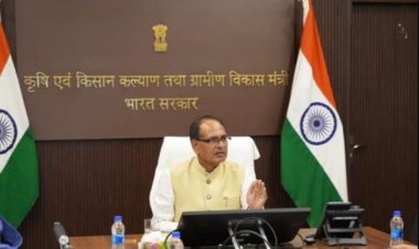 Govt Clears Rs 11,698 Crore MSP Procurement for Rabi Crops Across 3 States, Pulses & Oilseeds Farmers to Gain