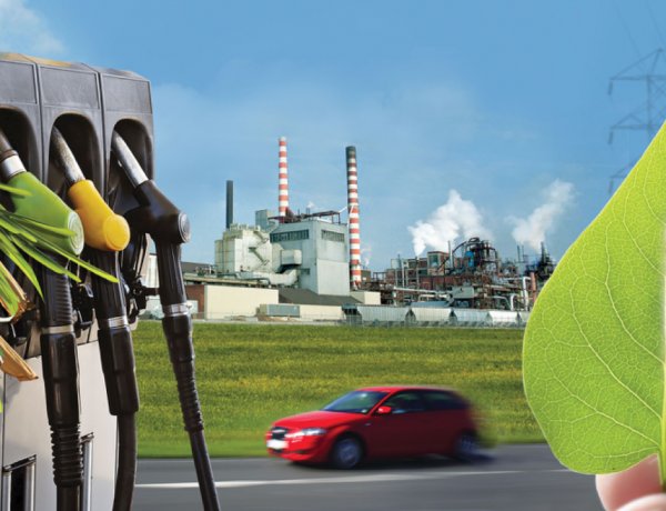 From Fields to Fuel: The Agricultural Side of India’s Bioenergy Push