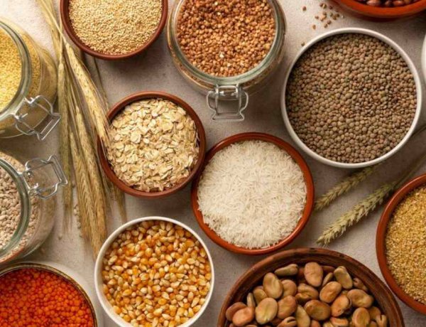 Global Wheat Production to Decline Nearly 3% in 2026 Despite Record Cereal Supply Outlook