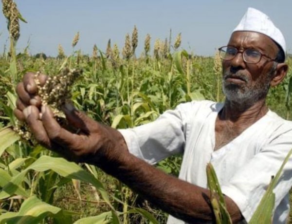 Farm Loan Waivers Return: Maharashtra’s Rs 35,000 Crore Scheme Revives Debate on Credit Discipline
