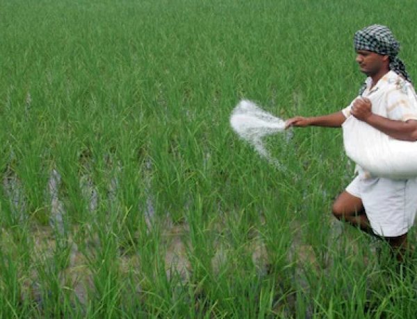 India Secures 86 Lakh Tonnes of Fertilizers Through Global Pacts; Domestic P&K Output Rises to 211 LMT