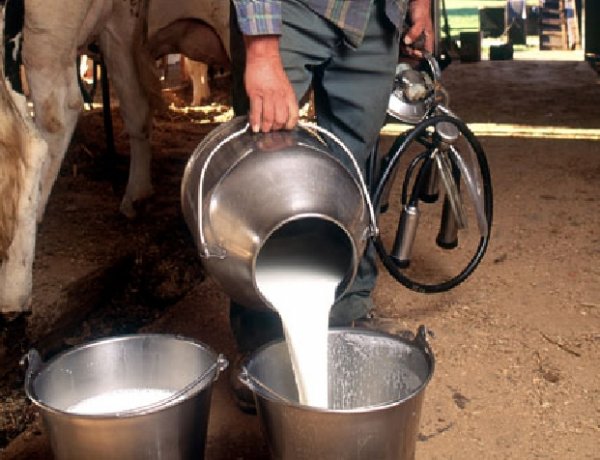 FSSAI Mandates Registration for Independent Milk Producers and Vendors, Orders Strict Enforcement Across States