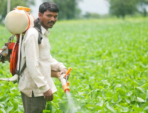 Pesticide Industry Divided Over Five-Year Data Protection as New Act Takes Shape