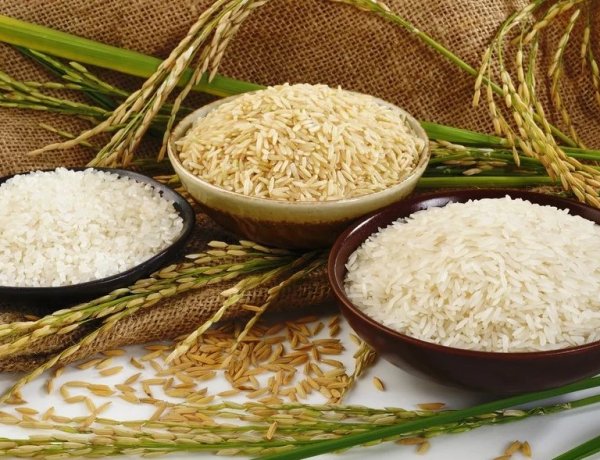 India’s Rice Shipments Surge 16.5% to Over $1 Billion in June, Fertiliser Imports Jump 201%