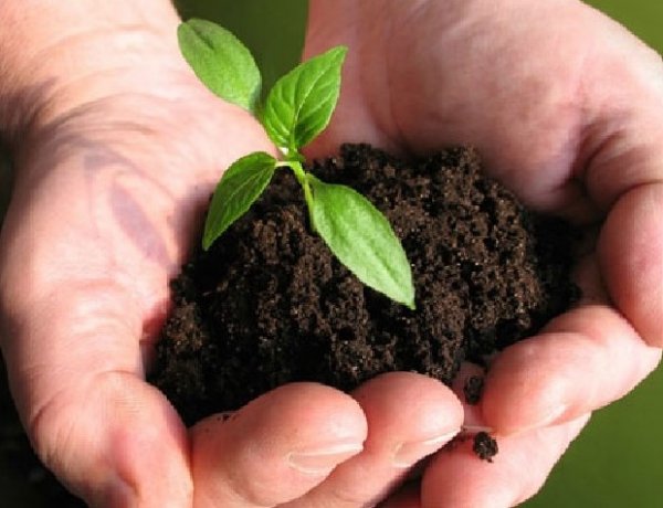 Agriculture Ministry Sets Standard Pack Sizes for Bio-Fertilizers, Norms Effective April 1