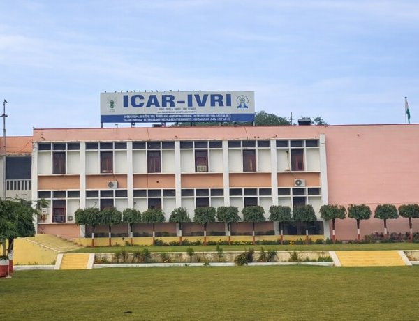 ICAR–IVRI Enters QS World University Rankings, Placed in 51–100 Band for Veterinary Science