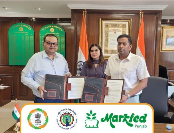 NCEL Expands Cooperative Export Push With Punjab, Ladakh MoUs