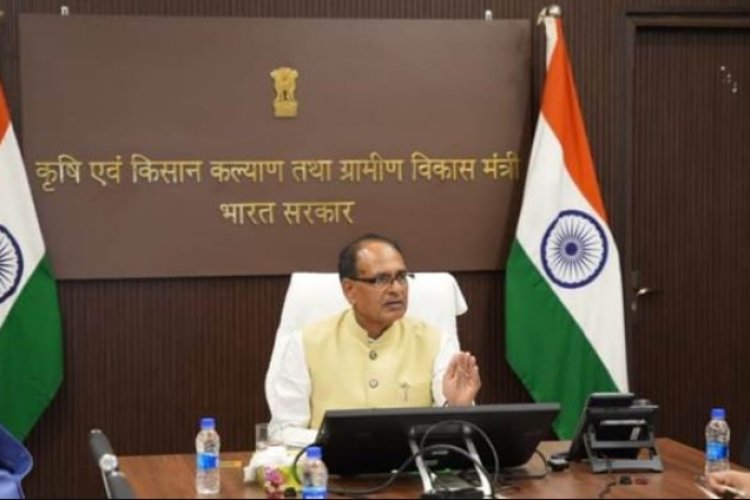 Govt Clears Rs 11,698 Crore MSP Procurement for Rabi Crops Across 3 ...