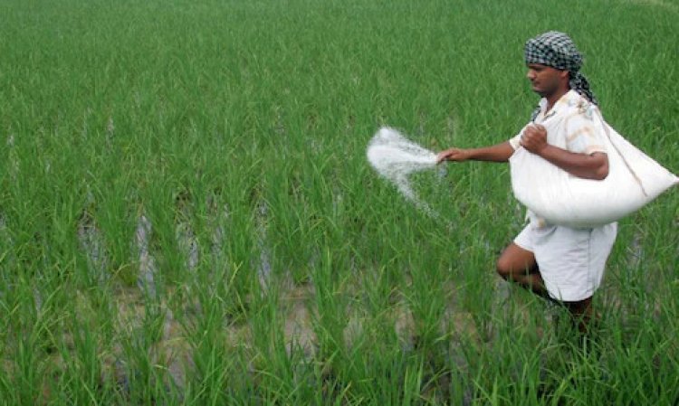 India Secures 86 Lakh Tonnes of Fertilizers Through Global Pacts; Domestic P&K Output Rises to 211 LMT
