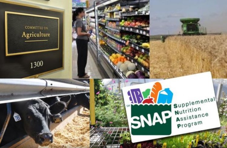 US House Panel Advances New Farm Bill After Eight Years, Sparks Debate Over Pesticides, Ethanol and Food Aid