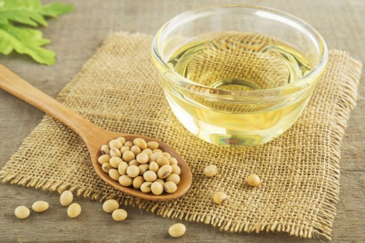 Soybean Prices Firm Up as Global Soy Oil Crosses $1,100/Tonne on Middle East Tensions