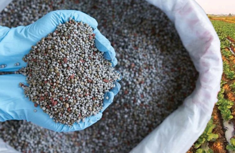 Iran Conflict Triggers China to Expand Fertilizer Export Curbs Beyond Urea