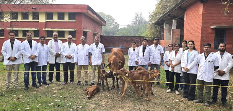 ICAR-IVRI Achieves Breakthrough in Producing Sahiwal Calves Using Advanced Reproductive Technology