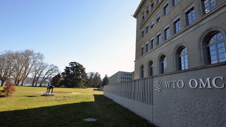 WTO MC14 Set to Expose Deep Divides as Key Trade Issues Head for Stalemate