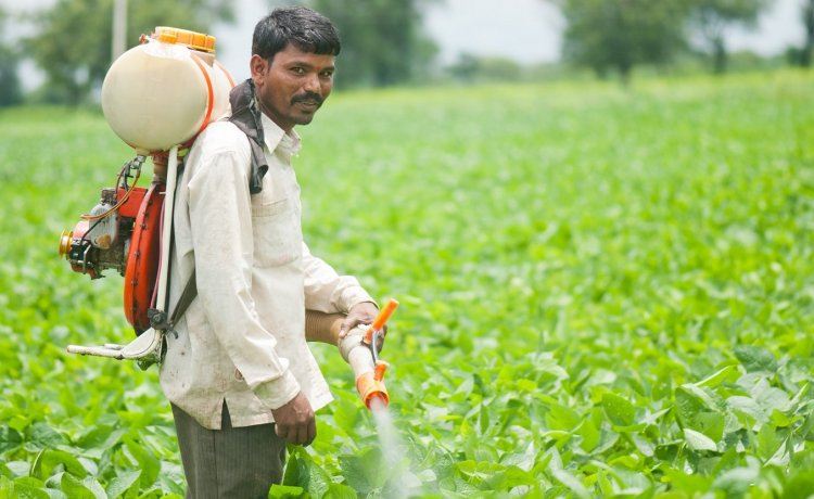 Iran Conflict Impact: Pesticide Prices to Surge 25-30% Ahead of Kharif Season