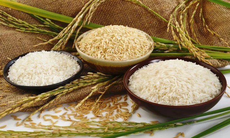 India’s Rice Shipments Surge 16.5% to Over $1 Billion in June, Fertiliser Imports Jump 201%