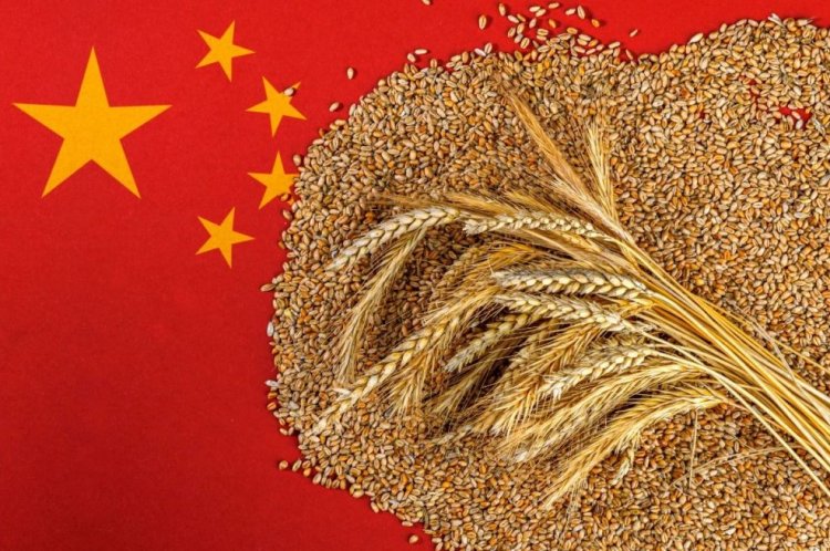 China Boosts Grain Output, Expands Soybean Imports to Secure Food and Feed Demand