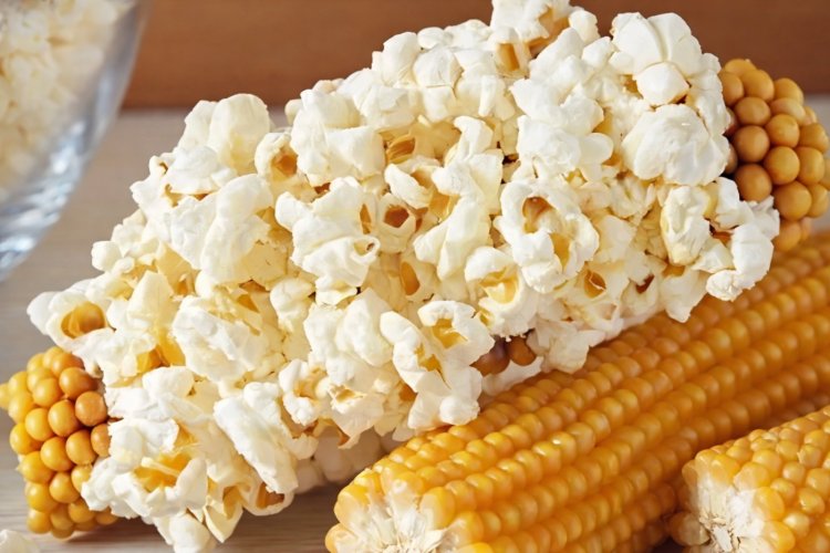 ICAR-Backed Push Boosts India’s Popcorn Production, Aims To End Imports By 2030